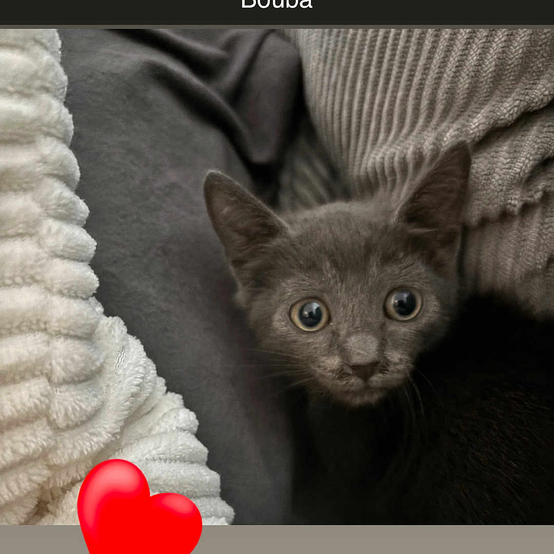 Bouba