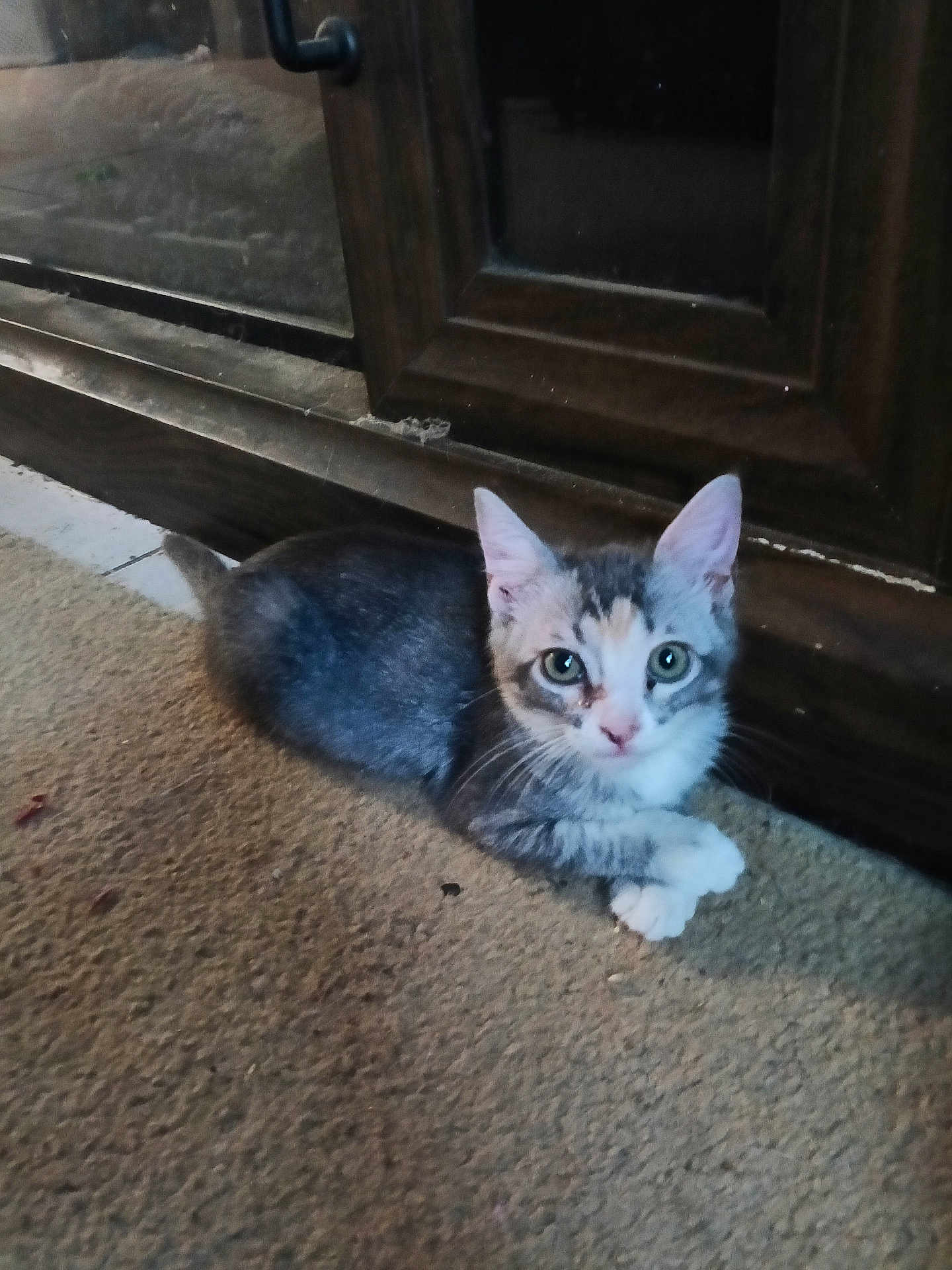 Rosie