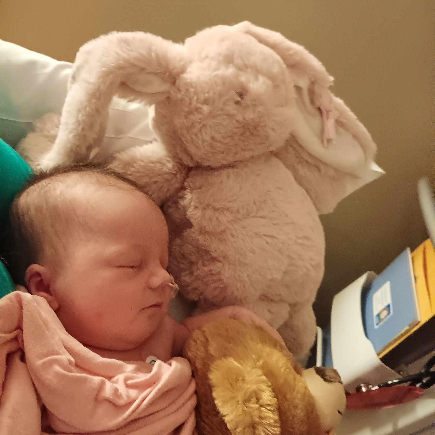 Scarlett is registered to the contest to win money with this photo: baby, bed, bedroom, blanket, couch, cushion, doll, face, furniture, head, homedecor, indoors, newborn, person, photography, plush, portrait, sleeping, teddybear, toy