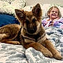 dog, puppy, german_shepherd, child, girl, smiling, blanket, couch, indoor, cozy, furniture, pet, fur, ears, happy, resting, comfort, home, portrait, cute
