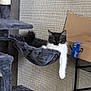 cat, black_and_white, cat_tree, hammock, relaxing, paw, cardboard_box, blue_tape, indoor, pet, feline, fur, lounging, cozy, dangling_paw, home, play_toy, scratching_post, resting, cute