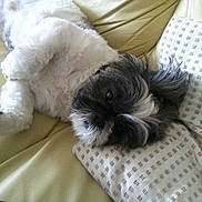 Théo a rejoint le concours — aidez-le/la à gagner de superbes lots !