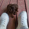 Coco is registered to the contest to win money with this photo: animal, bench, brown_fur, close_up, cuddly, cute, dog, feet, fluffy, footwear, fur, outdoor, pet, photography, puppy, shoes, small_dog, sneakers, top_view, wooden_bench