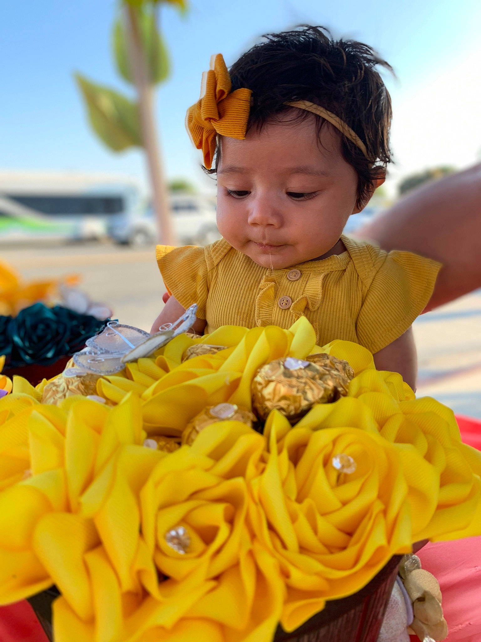 Cattleya is registered to the contest to win money with this photo: beauty, child, flower, fun, happy, hat, hybrid_tea_rose, leisure, person, petal, photograph, plant, rose, rose_family, rose_order, skin, sky, sun_hat, toddler, toy