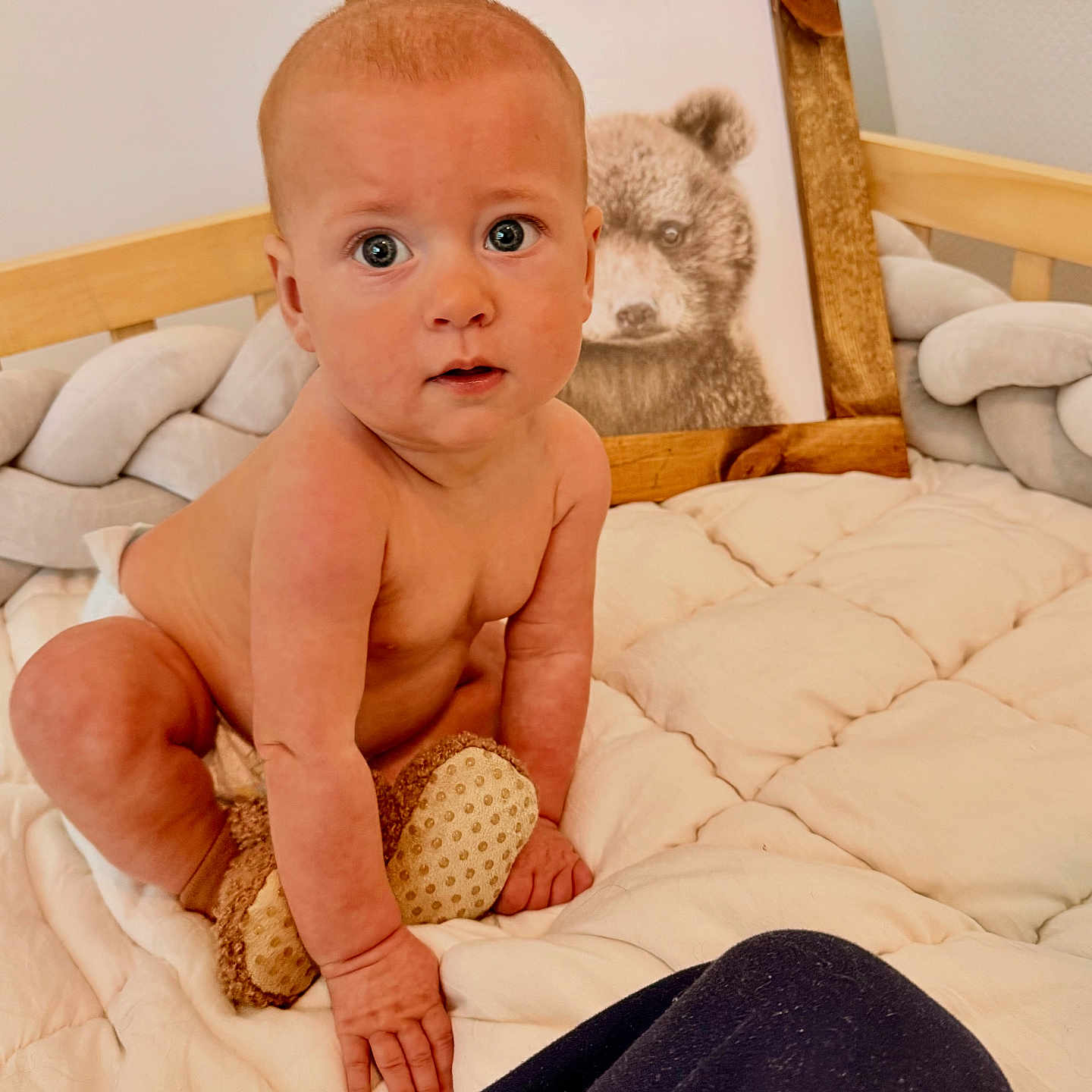 Shepherd is registered to the contest to win money with this photo: baby, bear, bed, blanket, child, curious, drawing, eyes, face, frame, furniture, hand, indoor, infant, nursery, quilt, skin, soft_toy, toy, wood