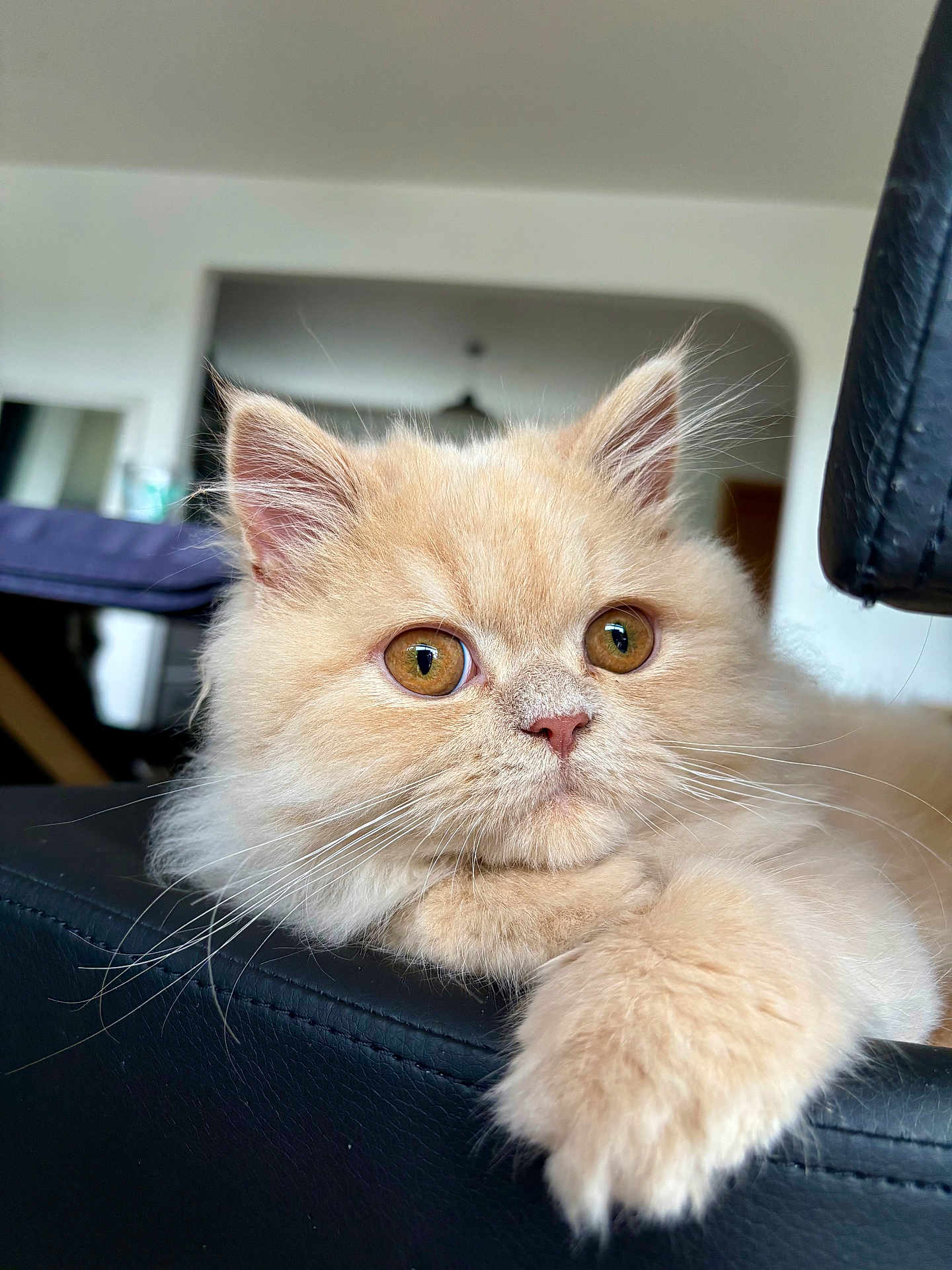 Julio