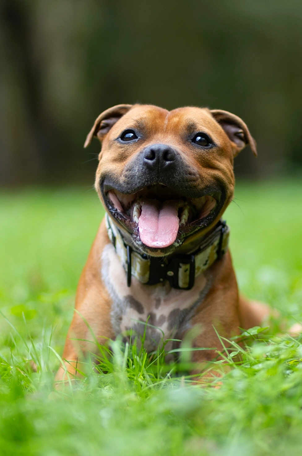 Tyson