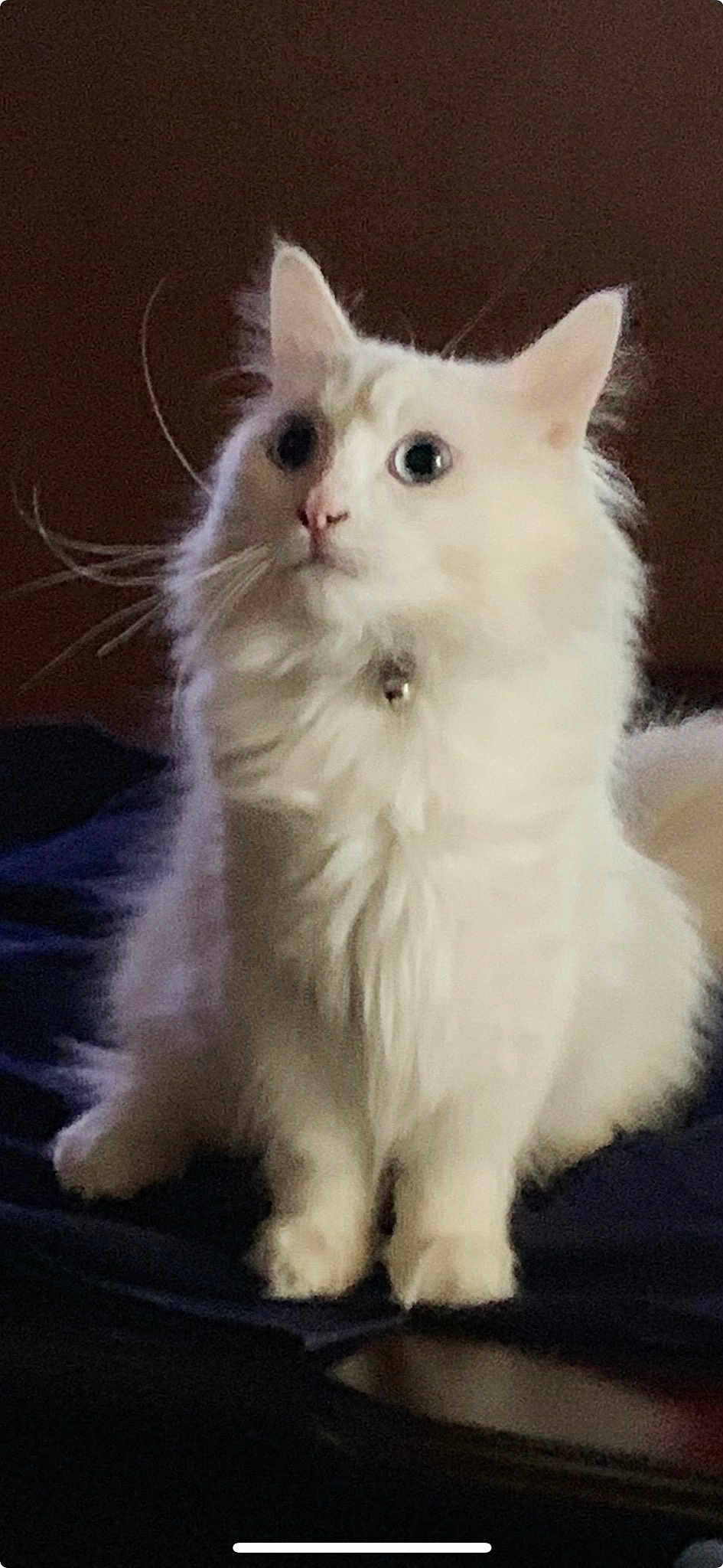 Jerry