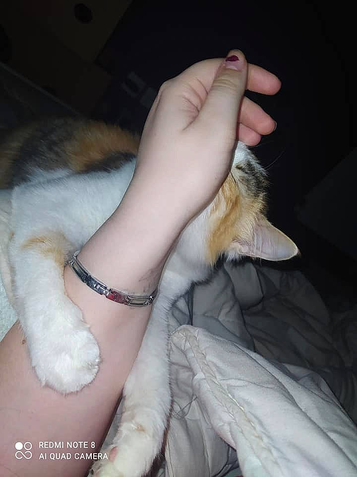 Ela a rejoint le concours — aidez-le/la à gagner de superbes lots ! body_jewelry, carnivore, cat, companion_dog, dog_breed, ear, fawn, felidae, finger, gesture, hand, human_leg, jaw, long_hair, nail, small_to_medium_sized_cats, tail, thigh, whiskers, wrist