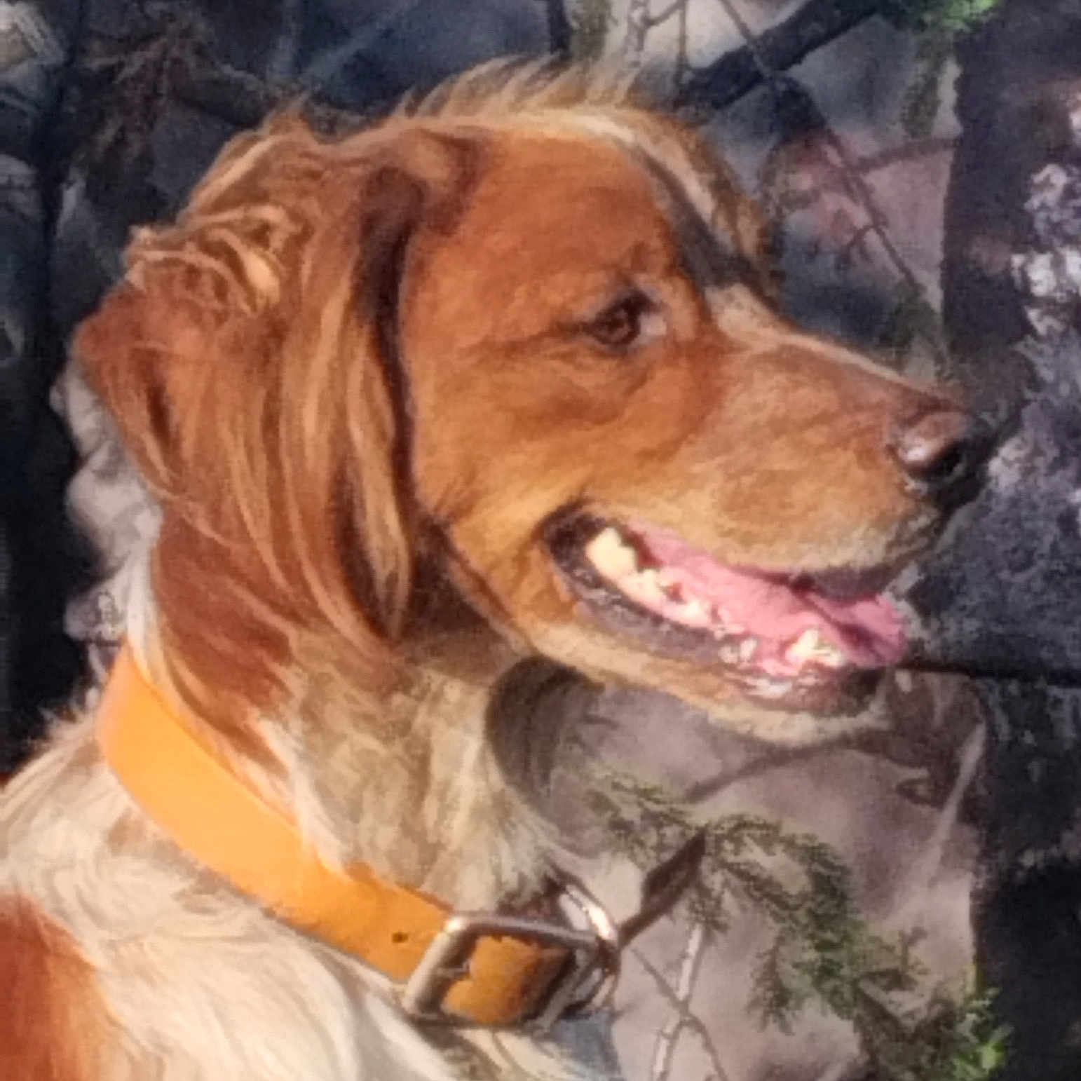 Diego
