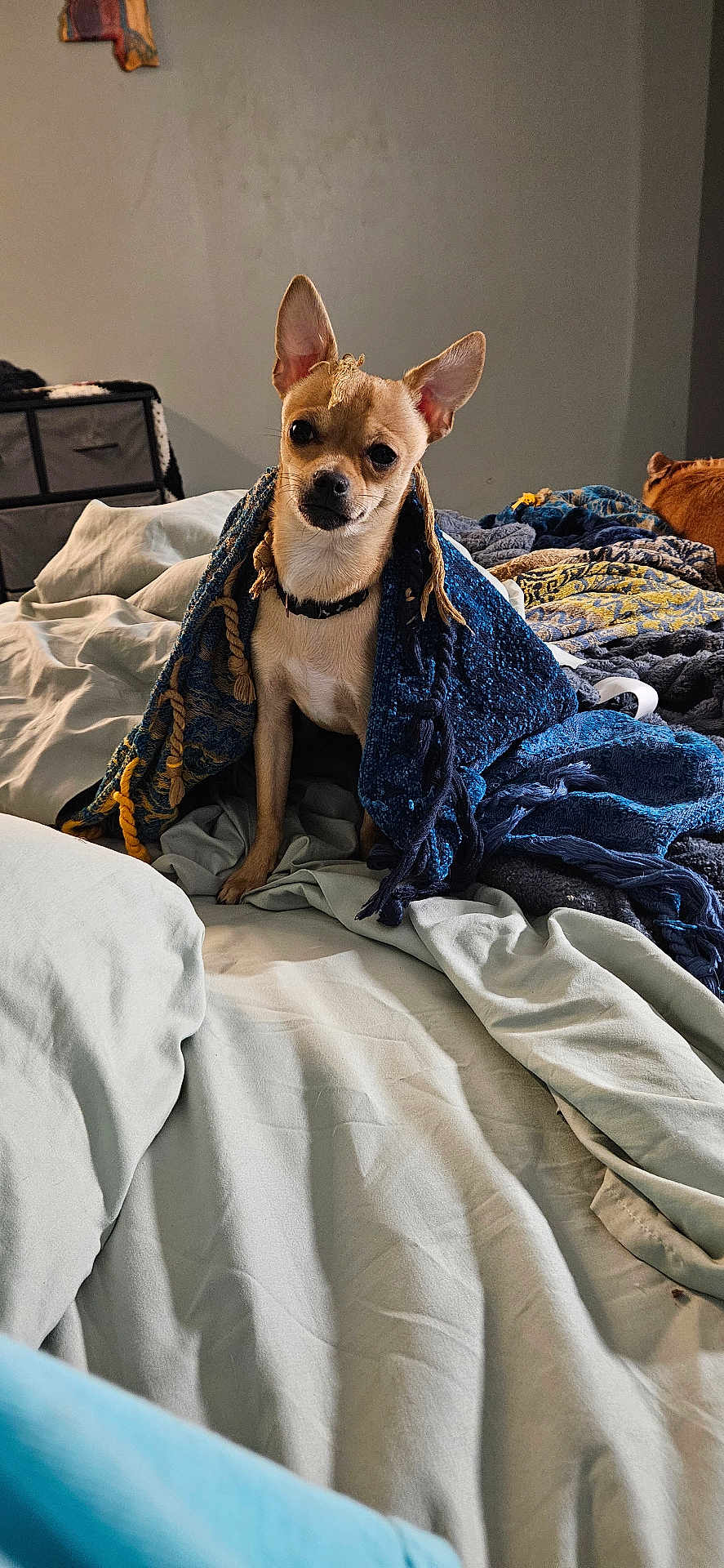 Charlie