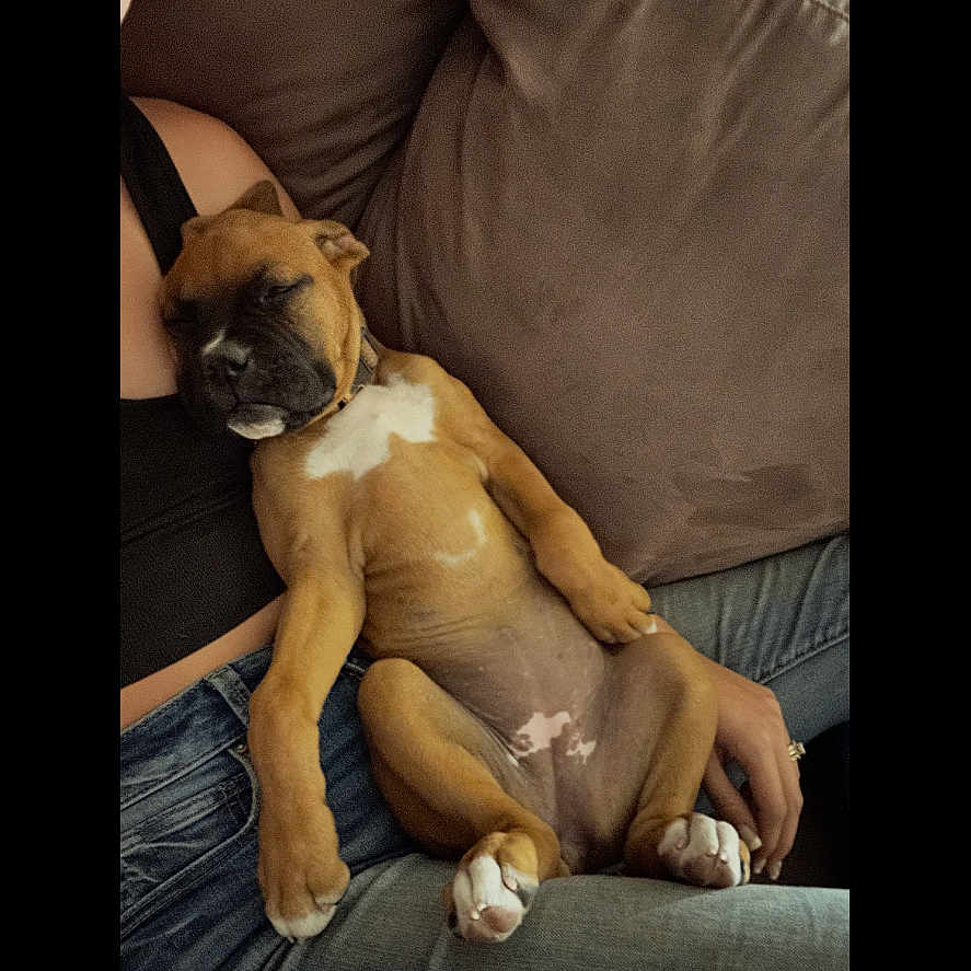 Roxie