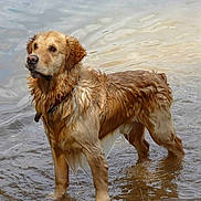 Elios participe au concours pour gagner de l'argent avec cette photo :