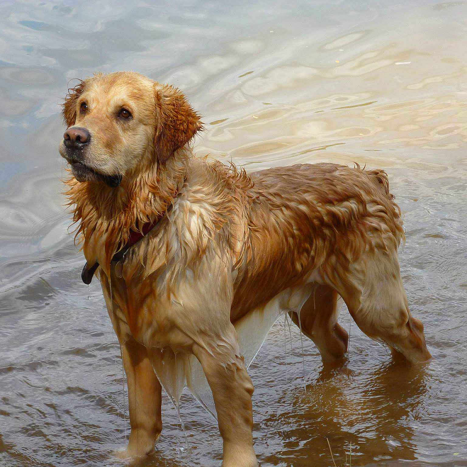 Elios participe au concours pour gagner de l'argent avec cette photo :