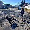 Macie joined the competition — help win amazing prizes! blue_sky, car, casual, clothing, curly_hair, daylight, dog, fence, hoodie, house, leash, outdoor, pavement, person, shadow, sidewalk, street, suburban, tree, walking
