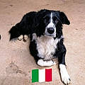 Luciano S.