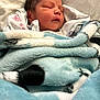 baby, newborn, sleeping, blanket, soft, face, infant, closeup, child, peaceful, wrapped, cozy, cute, portrait, resting, indoors, human, skin, head, young