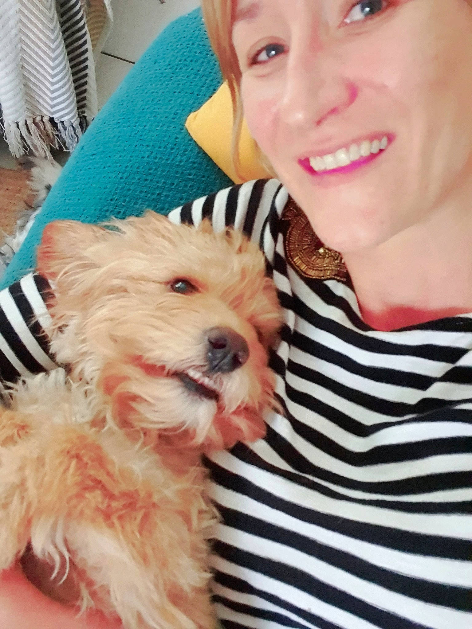 Paul participe au concours pour gagner de l'argent avec cette photo : canidae, carnivore, companion_dog, dog, dog_breed, maltepoo, maltese, mammal, morkie, nose, photography, puppy, puppy_love, rare_breed_dog, schnoodle, selfie, skin, sporting_lucas_terrier, terrier, west_highland_white_terrier