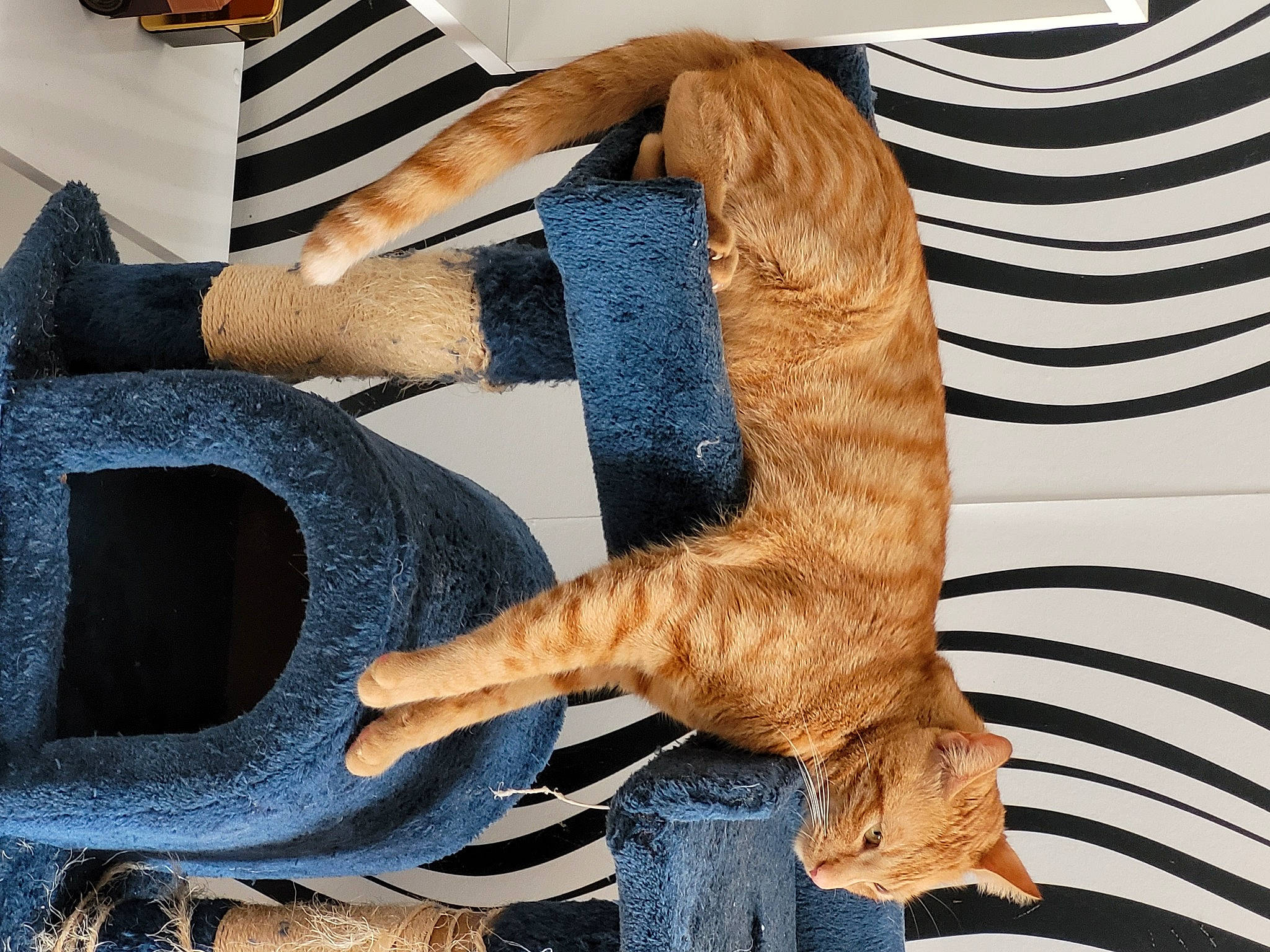 Caramel