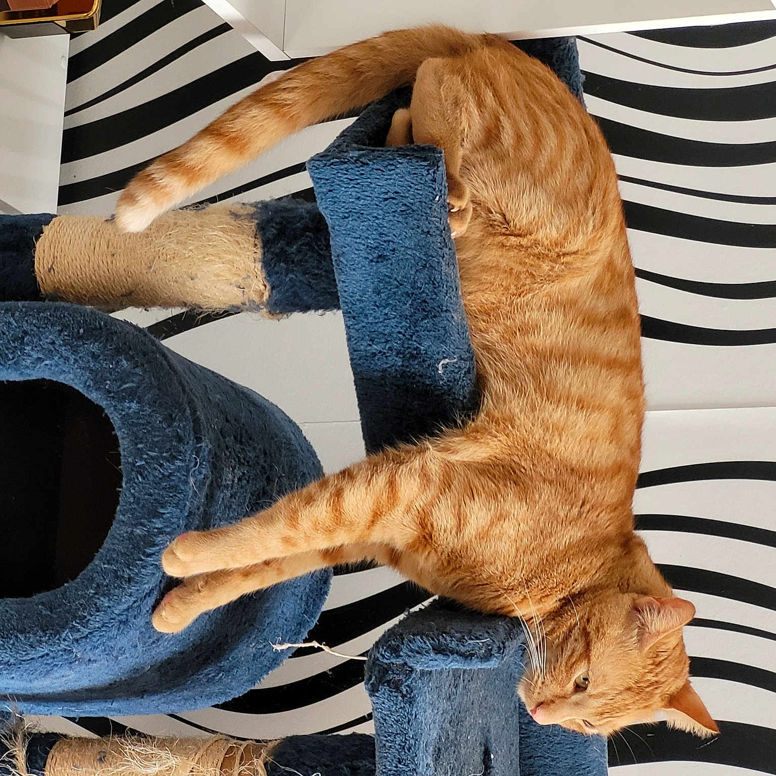 Caramel