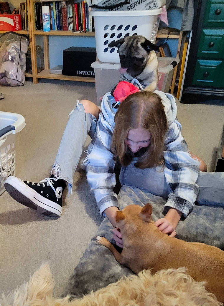 Gidget is registered to the contest to win money with this photo: backpack, bag, bookcase, boot, cabinetry, companion_dog, dog_breed, drawer, flooring, fun, fur, knee, luggage_and_bags, room, shelf, shelving, sitting, sporting_group, visual_arts, walking_shoe