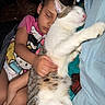 affection, bed, bedroom, cat, child, cuddling, family, flash_photography, indoors, kitten, pajamas, peaceful, pet, pillow, portrait, relaxed, sleeping, stretching, tabby, white_cat