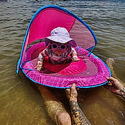 Charli is registered to the contest to win money with this photo: baby, child, float, water, lake, sunglasses, hat, sun_protection, tattoo, adult, summer, outdoor, recreation, fun, pink, canopy, floating_device, person, nature, water_sport