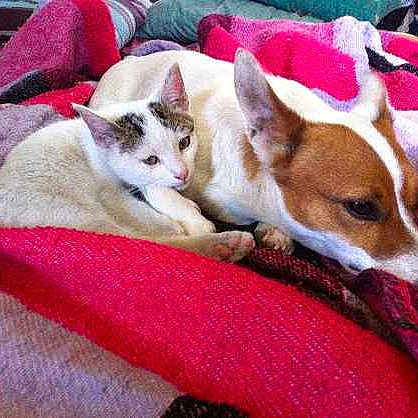 Gally a rejoint le concours — aidez-le/la à gagner de superbes lots !