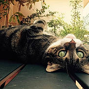 Zoé a rejoint le concours — aidez-le/la à gagner de superbes lots !