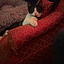 cat, black_and_white_cat, armchair, red_furniture, patterned_fabric, blanket, cozy, indoor, pet, relaxed, feline, fur, paw, resting, domestic_animal, comfort, home_interior, soft_texture, animal, cute