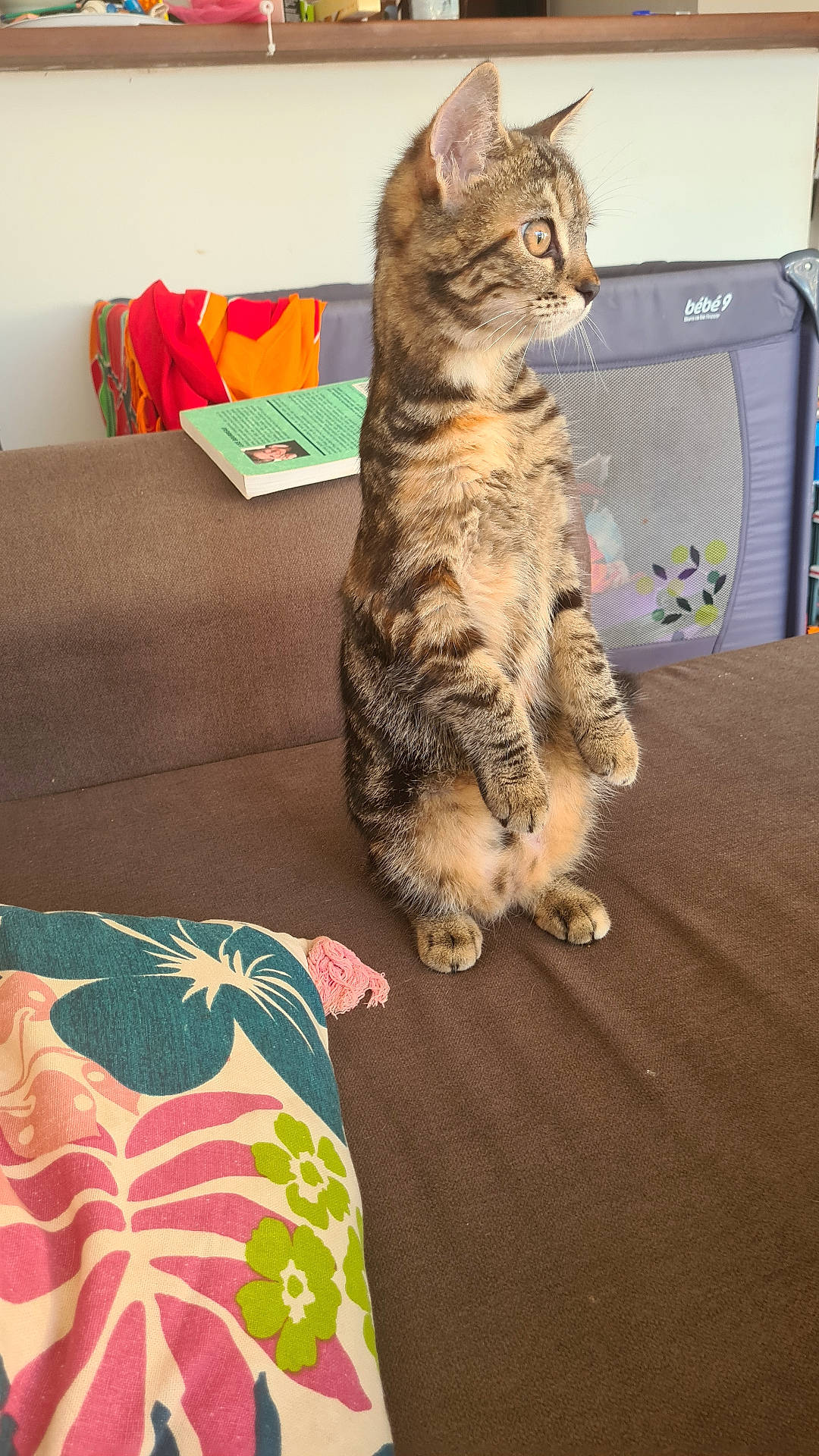 Lilou