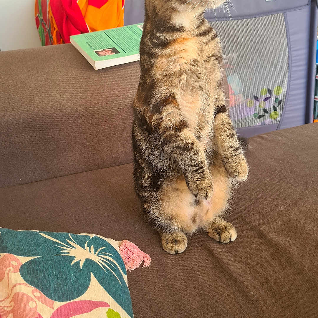 Lilou