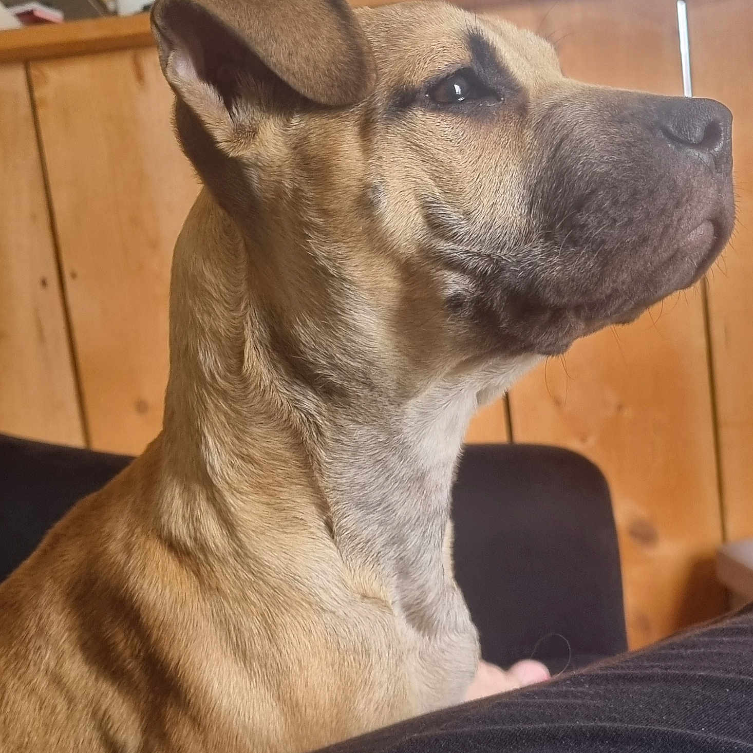Ayka