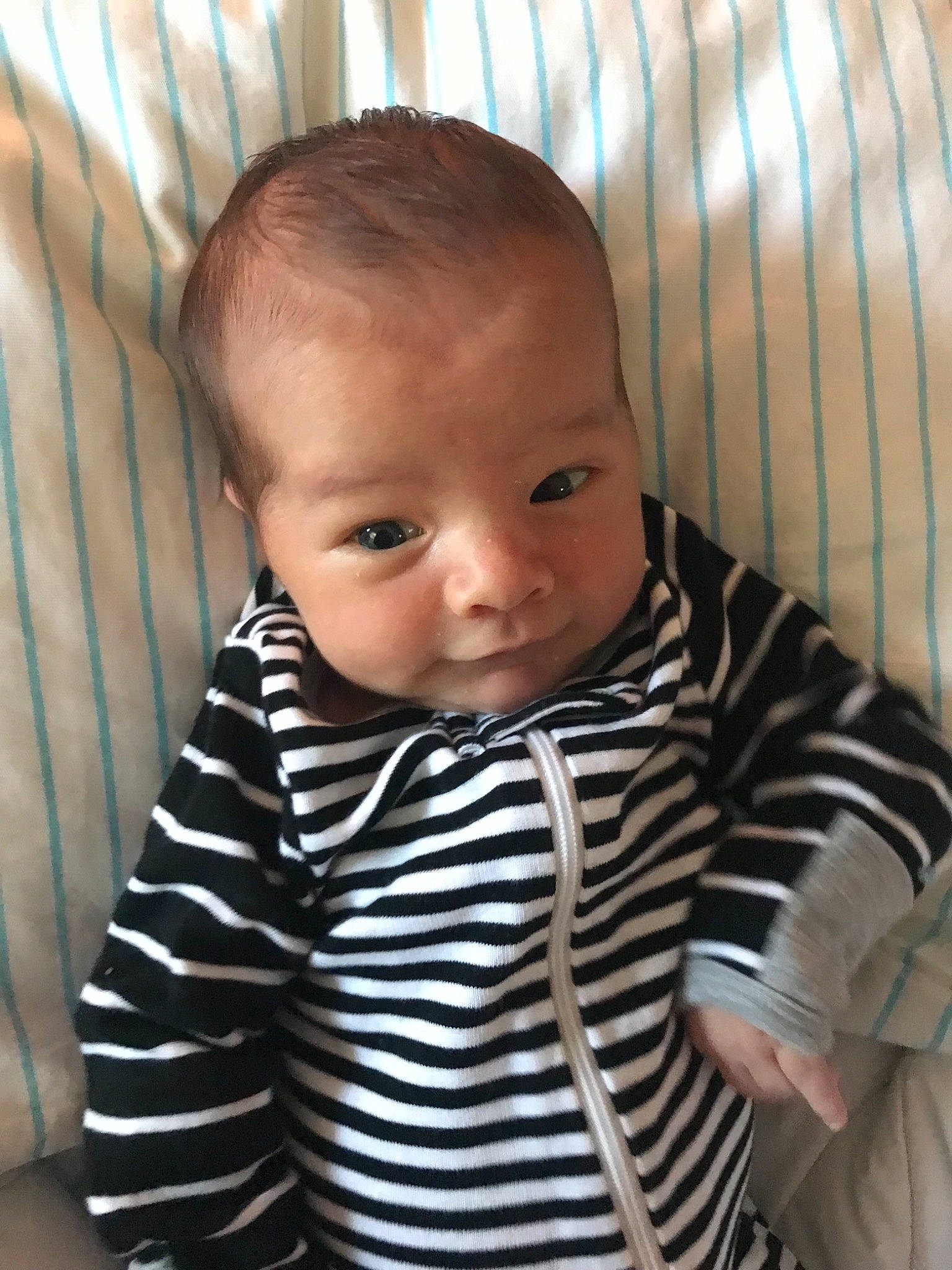 Gray joined the competition — help win amazing prizes!