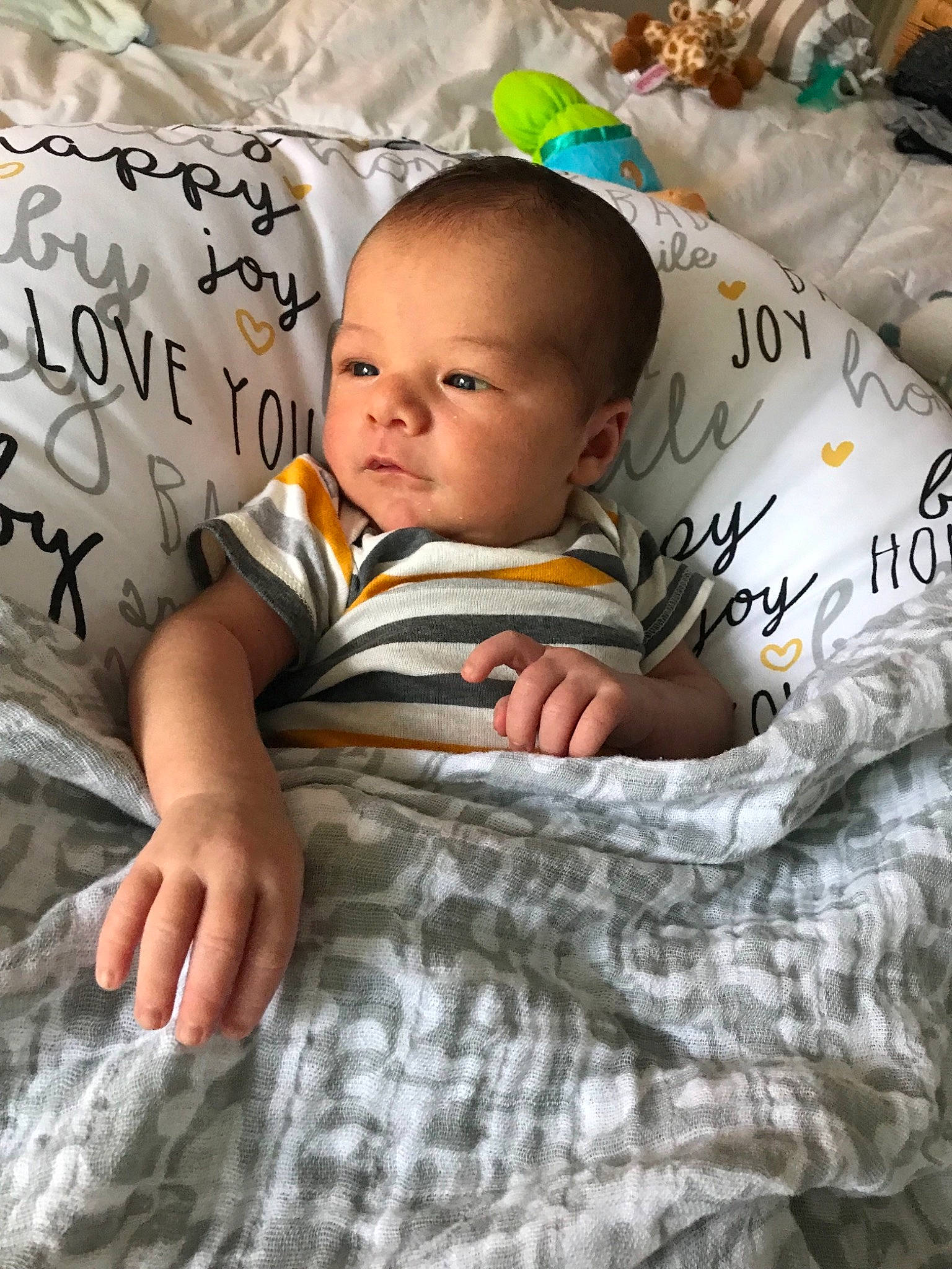 Gray is registered to the contest to win money with this photo: