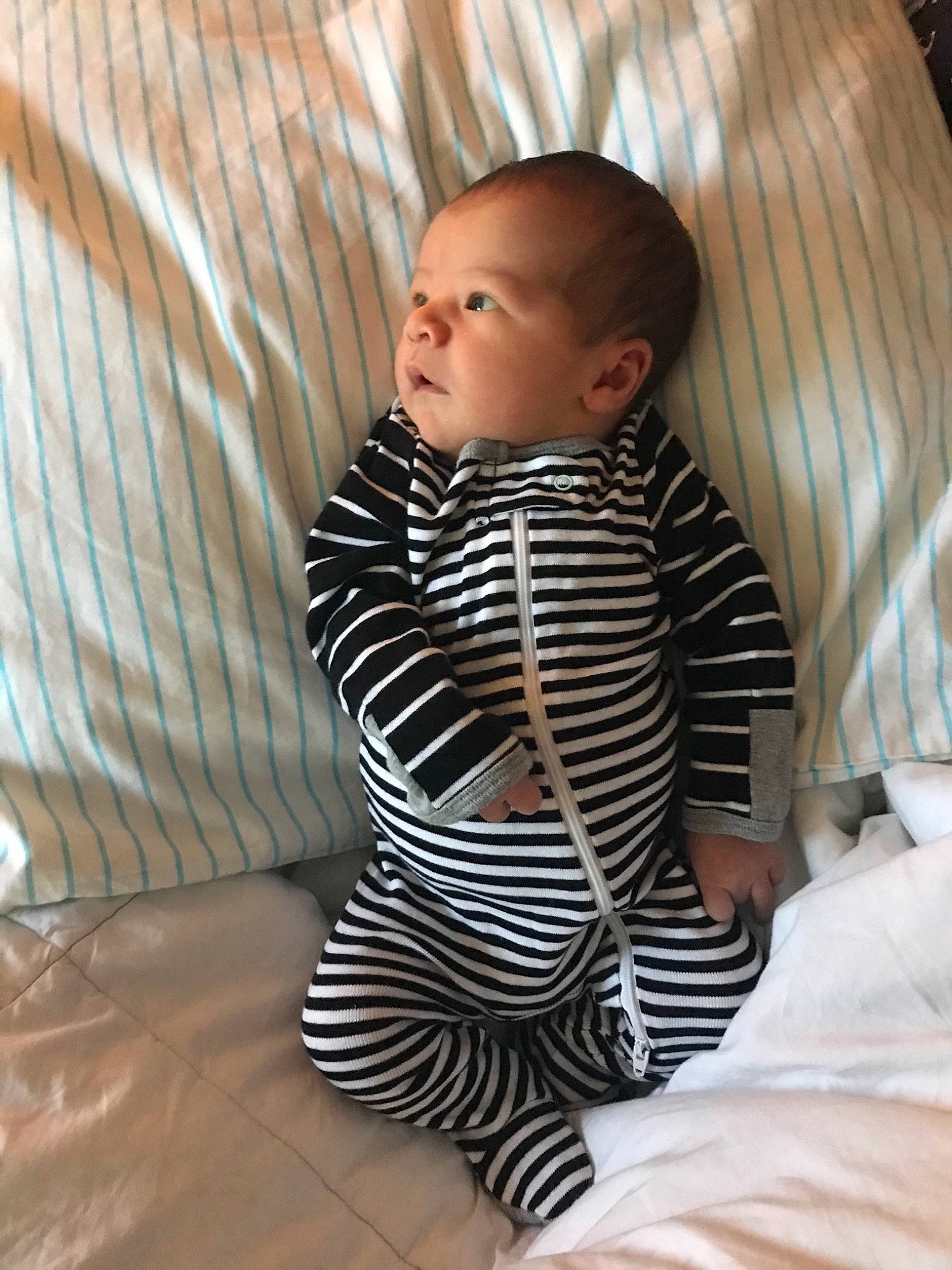 Gray joined the competition — help win amazing prizes!