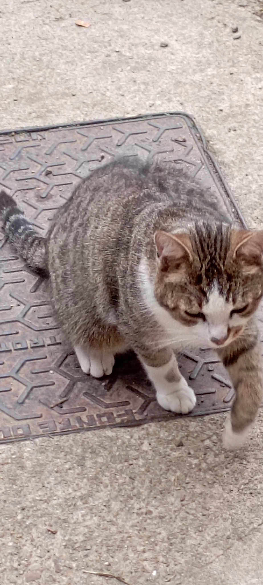 Oscar