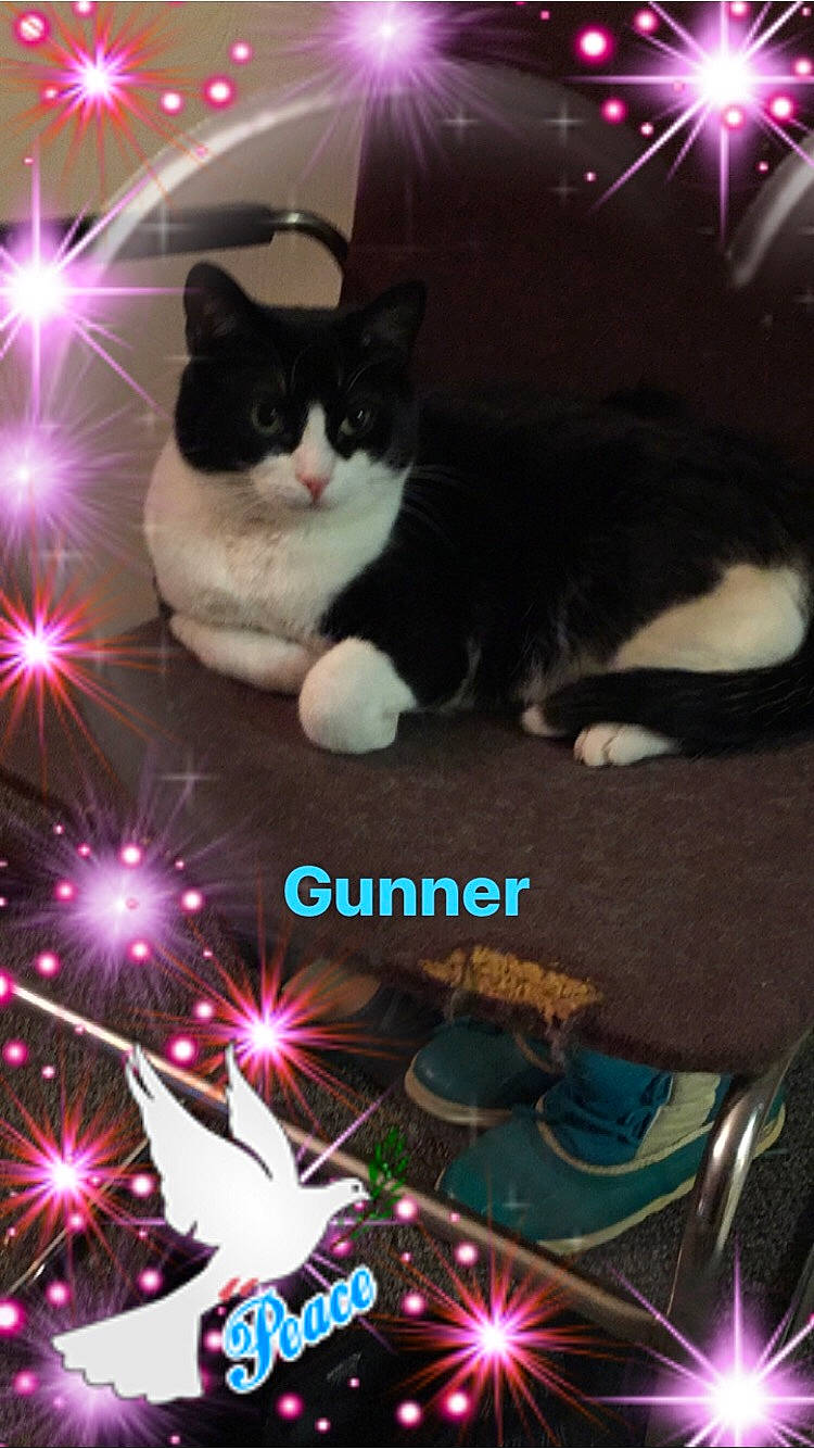 Gunner