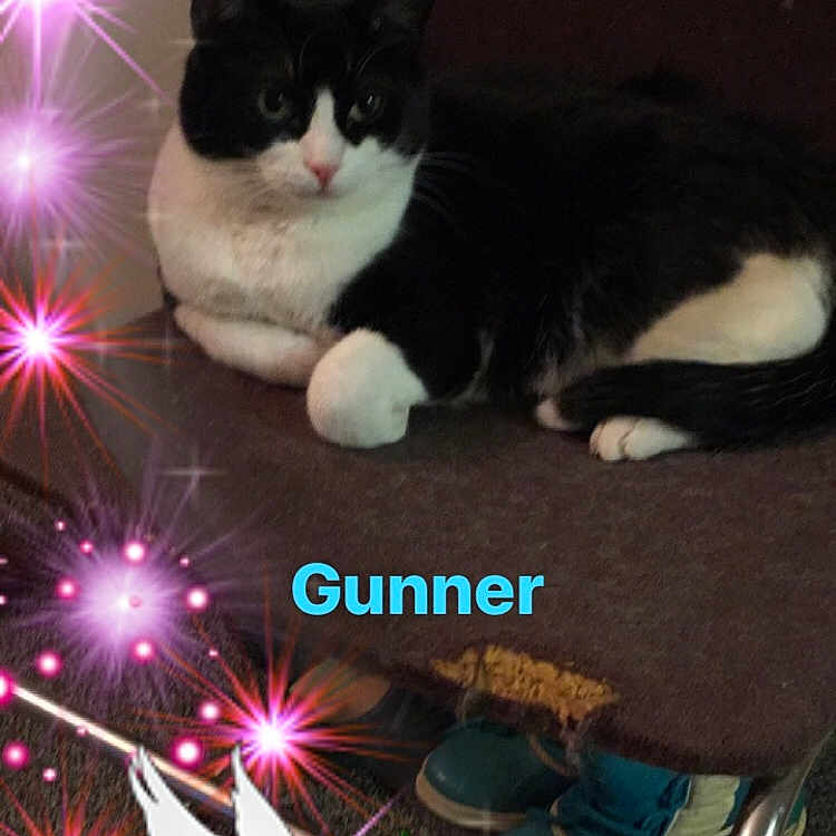 Gunner
