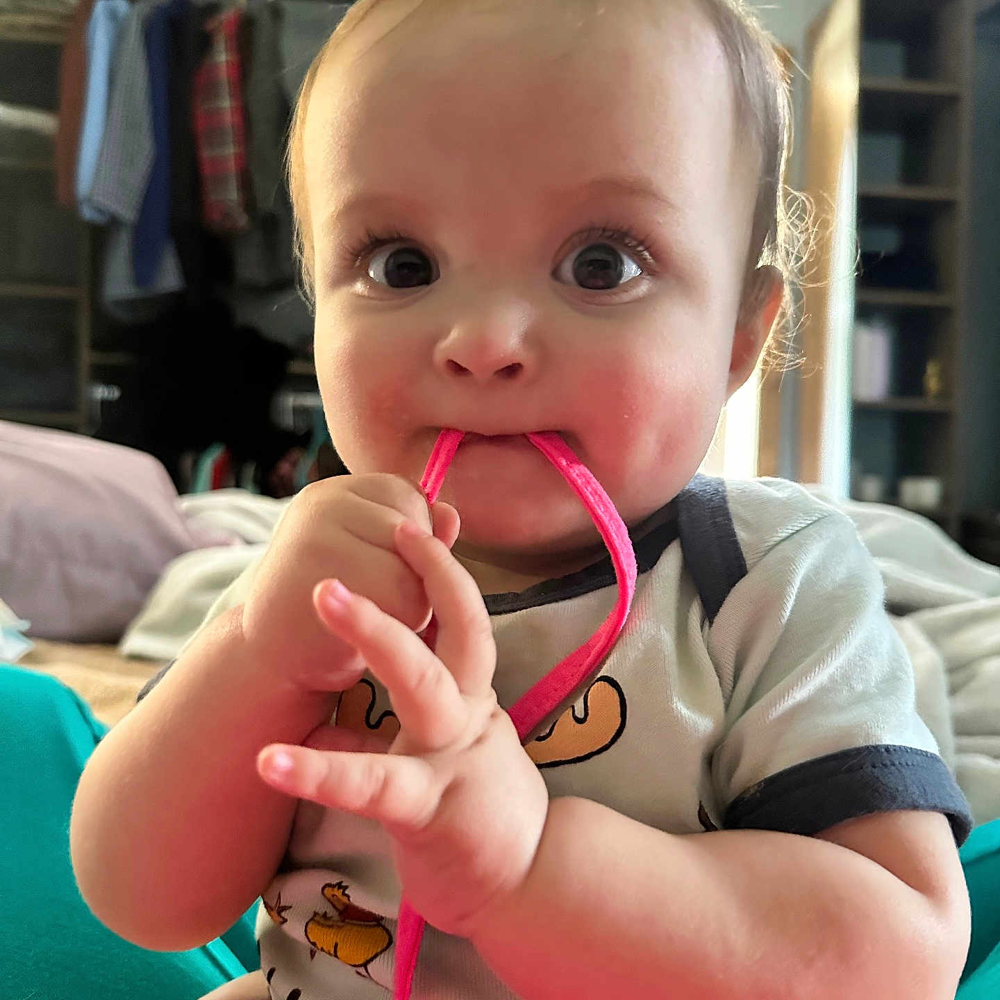 Calum joined the competition — help win amazing prizes! baby, child, infant, face, hands, string, chewing, clothing, indoors, furniture, sitting, expression, cute, room, shelf, blurred_background, skin, eye, playful, portrait