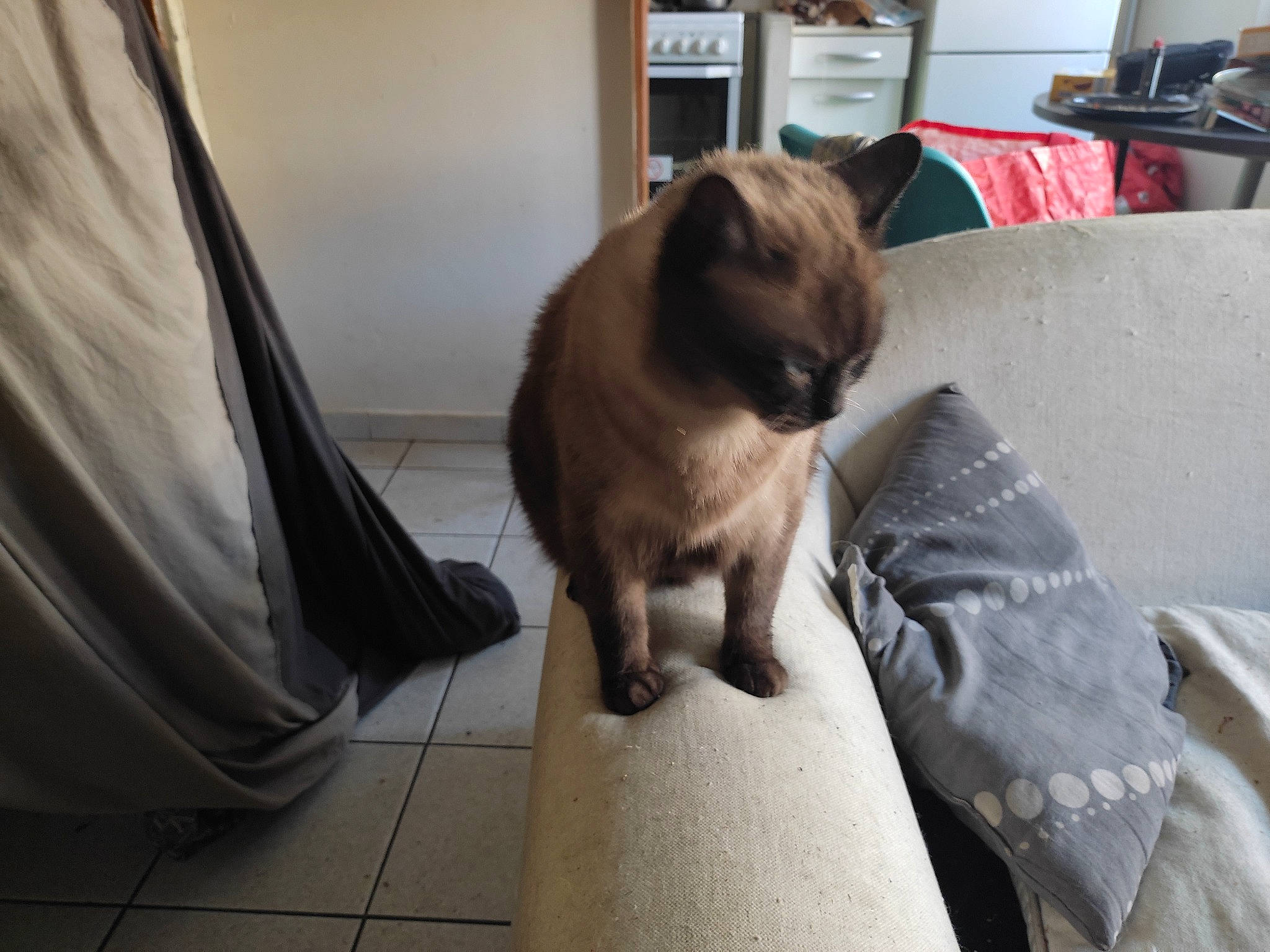 Bouboule