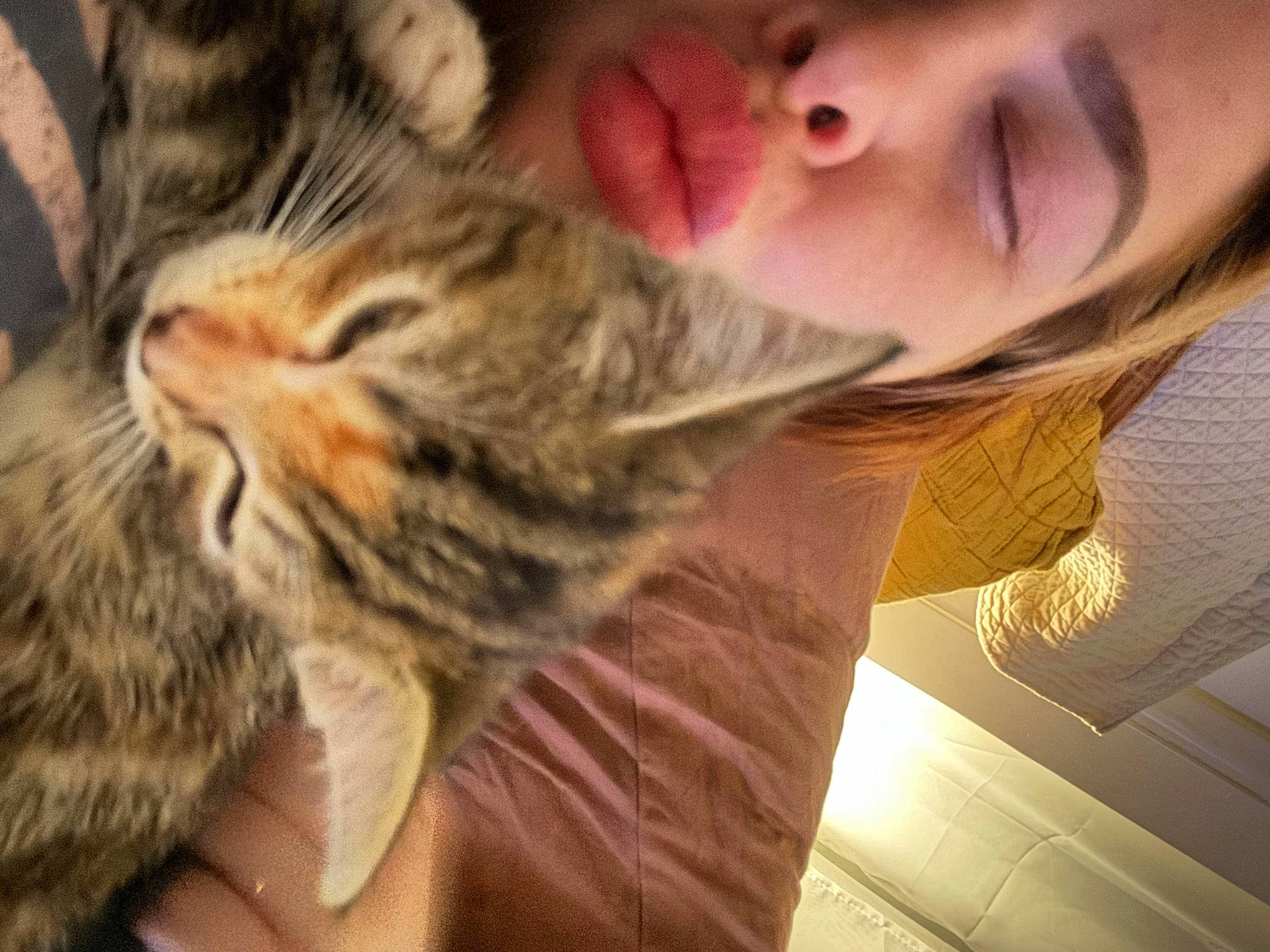 Parsnip joined the competition — help win amazing prizes! carnivore, cat, claw, comfort, domestic_short_haired_cat, ear, eyelash, felidae, fur, happy, nose, organ, paw, small_to_medium_sized_cats, snout, terrestrial_animal, whiskers