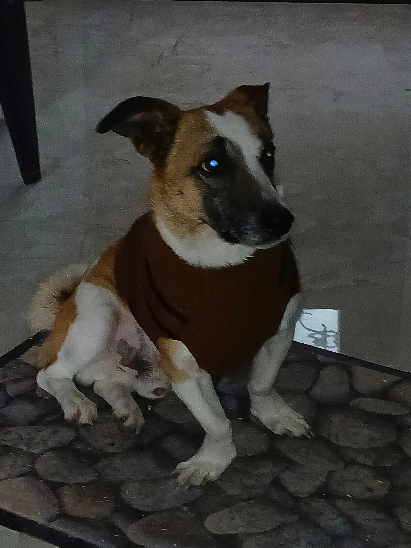 Roxy