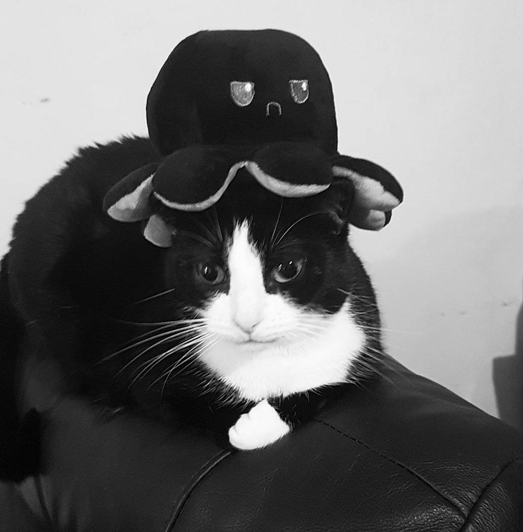 Lola is registered to the contest to win money with this photo: black, black_and_white, cap, carnivore, cat, comfort, costume_hat, fashion_accessory, fedora, felidae, formal_wear, fur, hat, monochrome, monochrome_photography, small_to_medium_sized_cats, snout, style, sun_hat, whiskers