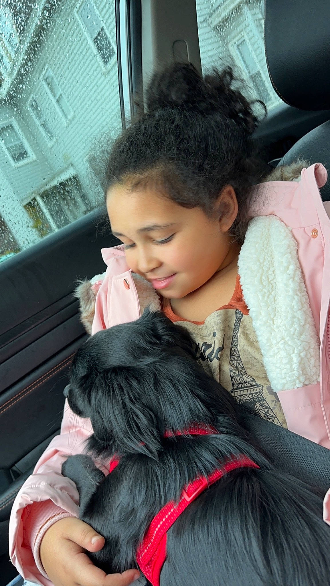 Blackie joined the competition — help win amazing prizes! black_hair, car_seat, carnivore, child, comfort, companion_dog, dog, dog_breed, ear, fur, hairstyle, happy, lap, mammal, neck, sitting, skin, toy_dog, travel, vertebrate