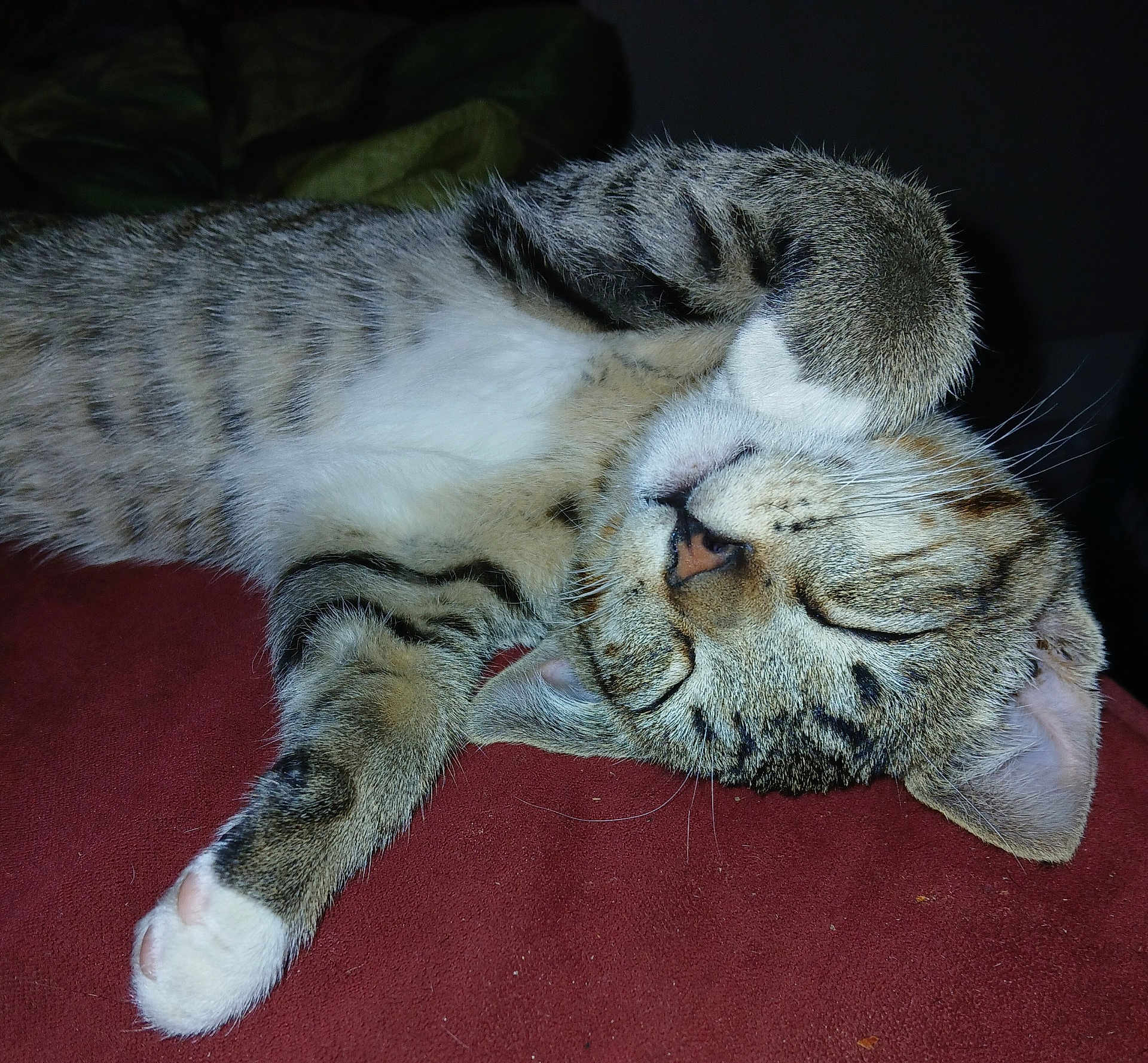 J.b.