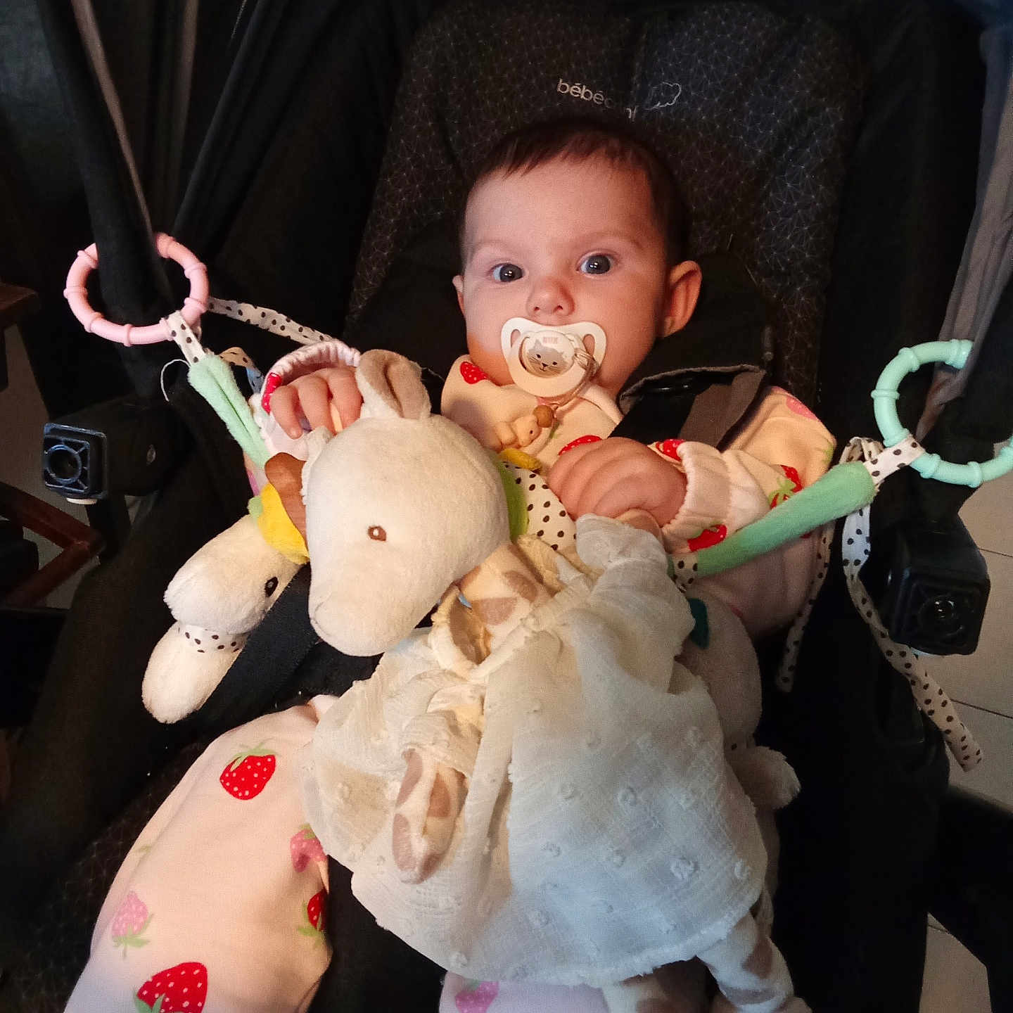 Lyra a rejoint le concours — aidez-le/la à gagner de superbes lots ! baby, child, clothing, comfort, cute, face, giraffe_toy, hand, indoor, infant, pacifier, pajamas, person, seated, soft_toy, strawberry_pattern, stroller, stuffed_toy, toy, young_child