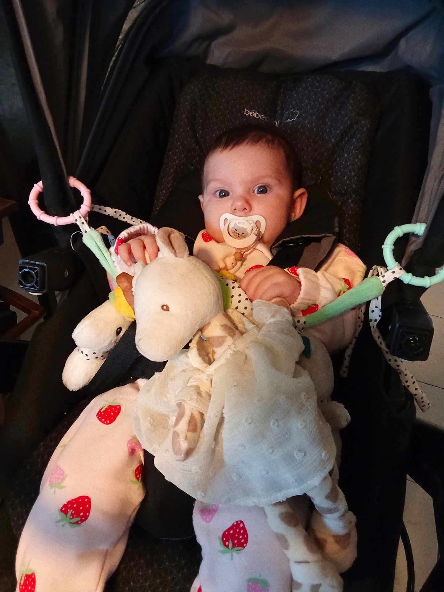 Lyra a rejoint le concours — aidez-le/la à gagner de superbes lots ! baby, pacifier, stroller, stuffed_toy, giraffe_toy, pajamas, strawberry_pattern, child, infant, seated, indoor, soft_toy, cute, face, hand, clothing, person, toy, comfort, young_child