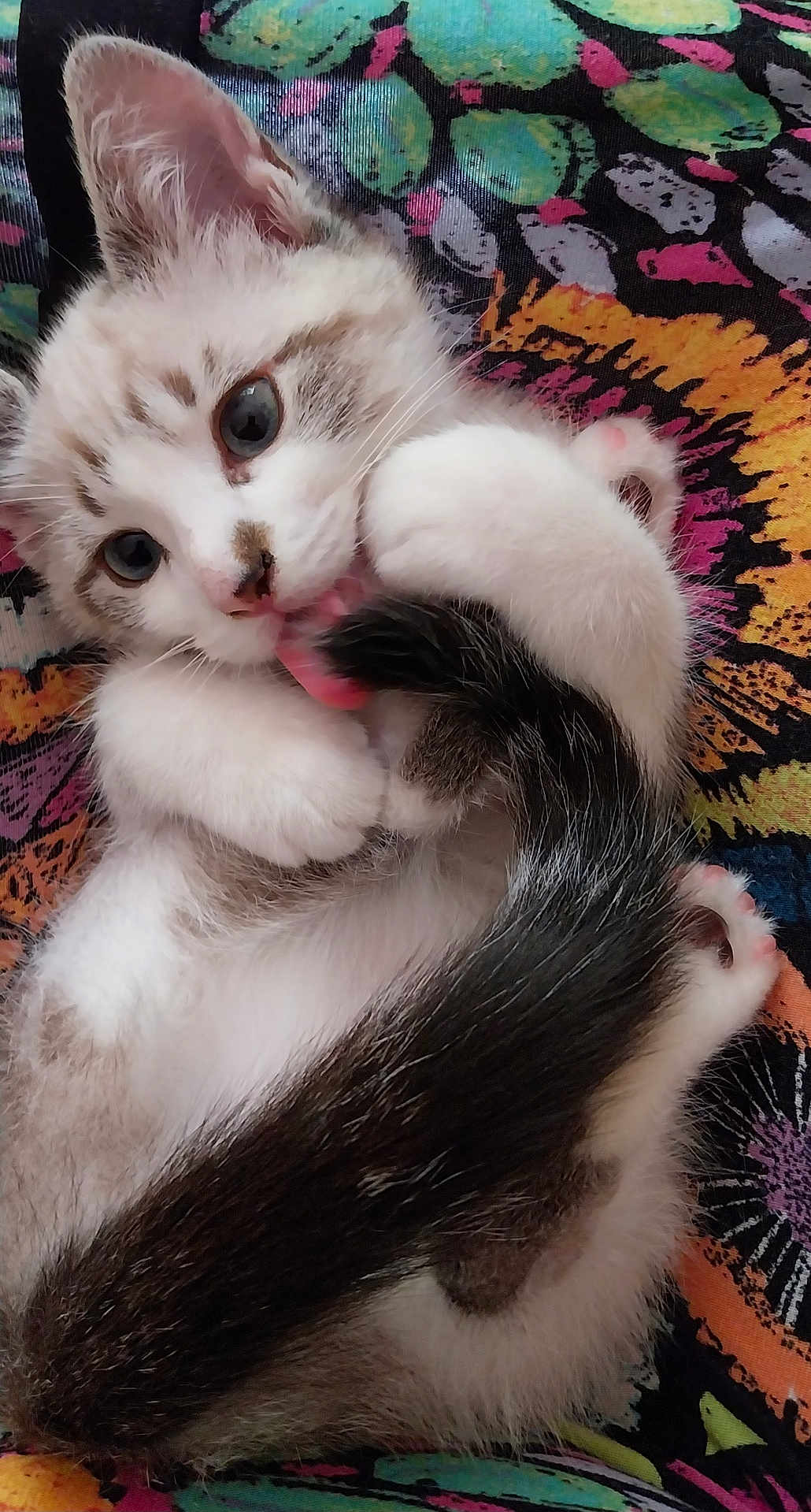 Shiva