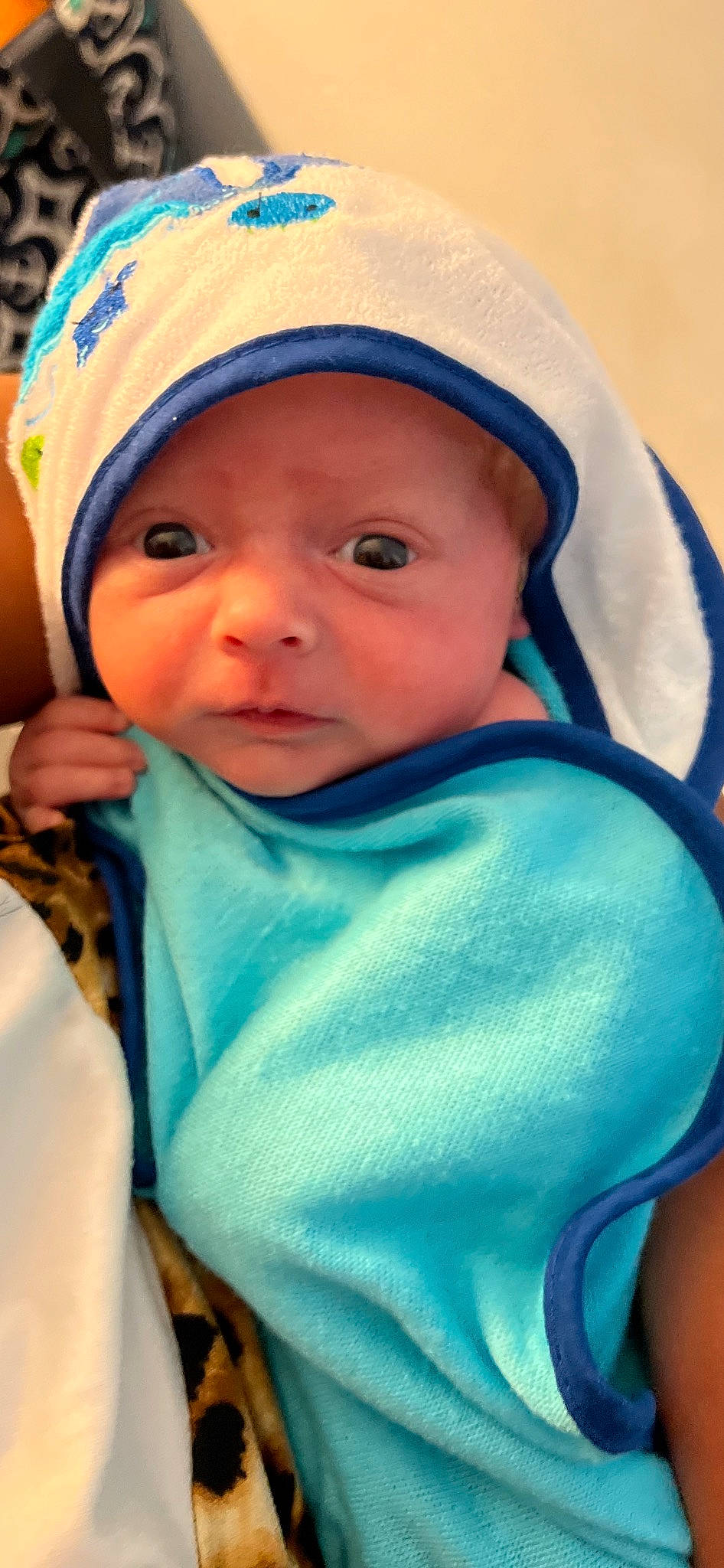 Clinton is registered to the contest to win money with this photo: azure, baby, baby_carriage, baby_products, baby_toddler_clothing, blue, cap, cheek, child, comfort, cool, electric_blue, eyebrow, fashion_accessory, happy, hat, headwear, iris, person, photograph